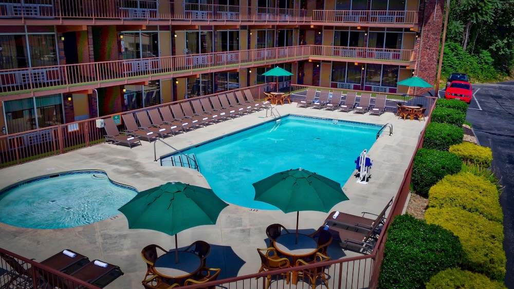 Wild Bear Inn - photo 11