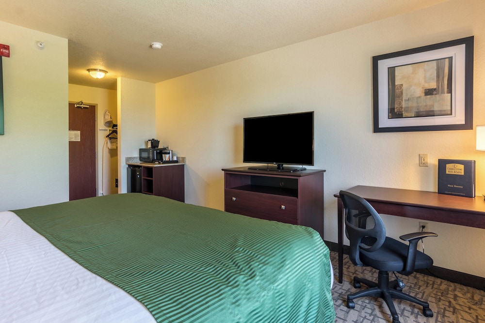Cobblestone Hotel & Suites Erie - photo 13