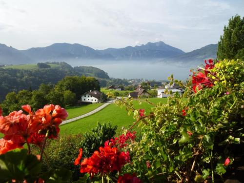 Biohof Schwanser — Steinbach Am Attersee — photo 2
