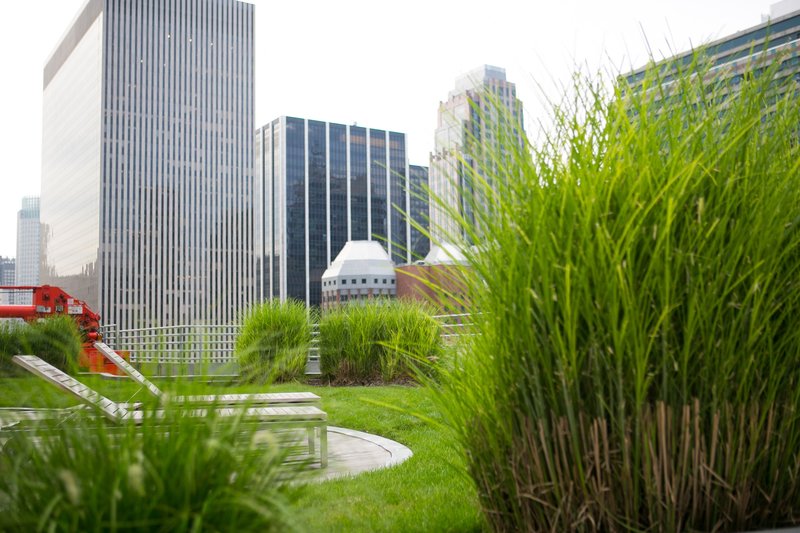 1600 Broadway Tower - photo 28