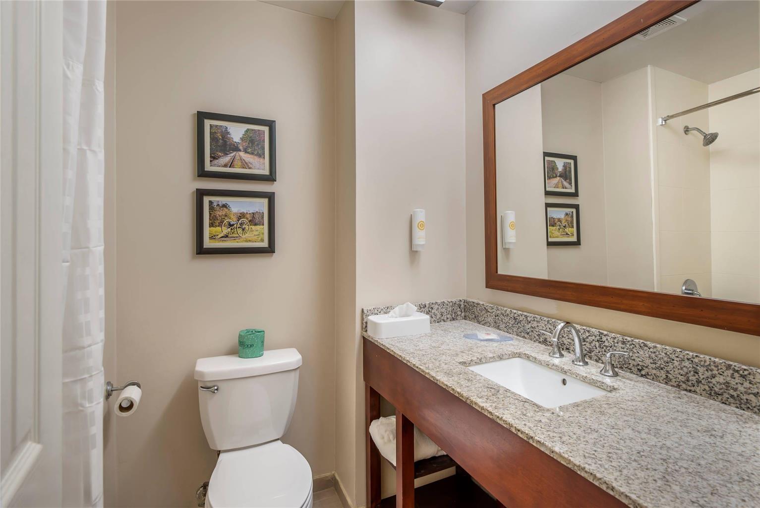 Comfort Inn Petersburg Fort Lee Area - photo 22