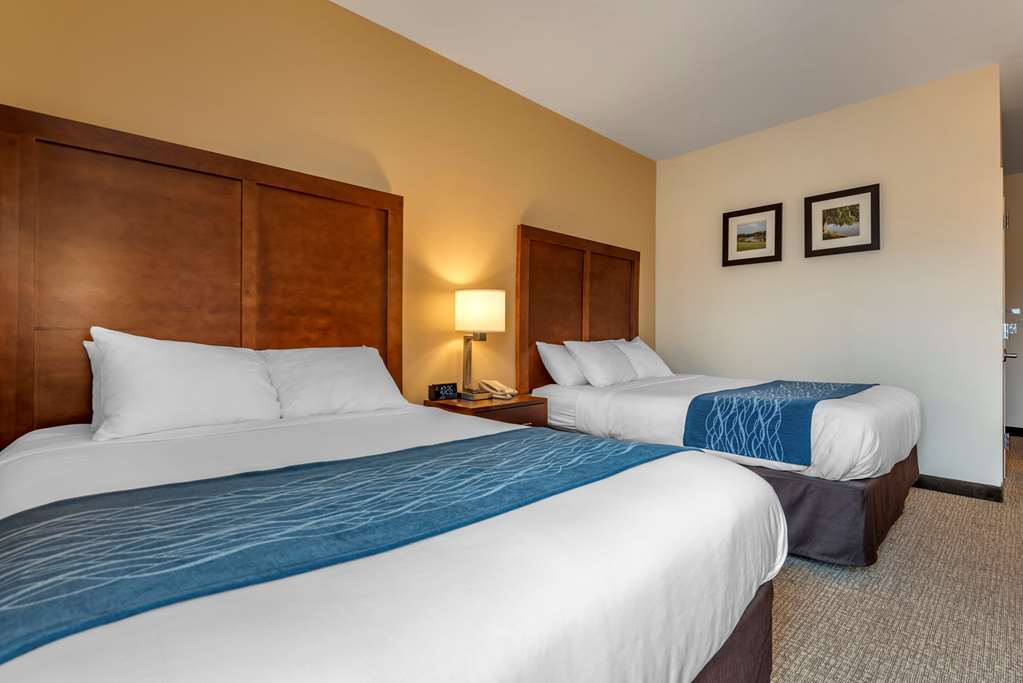 Comfort Inn Apalachin Binghamton W Route 17 - photo 9