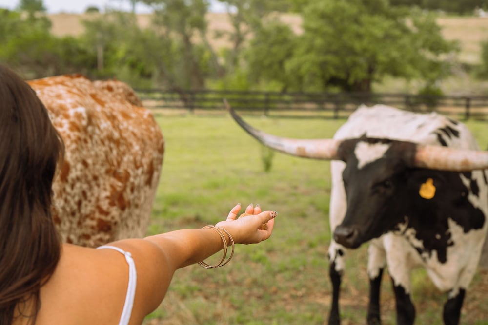 Outdoorsy Hill Country - photo 44