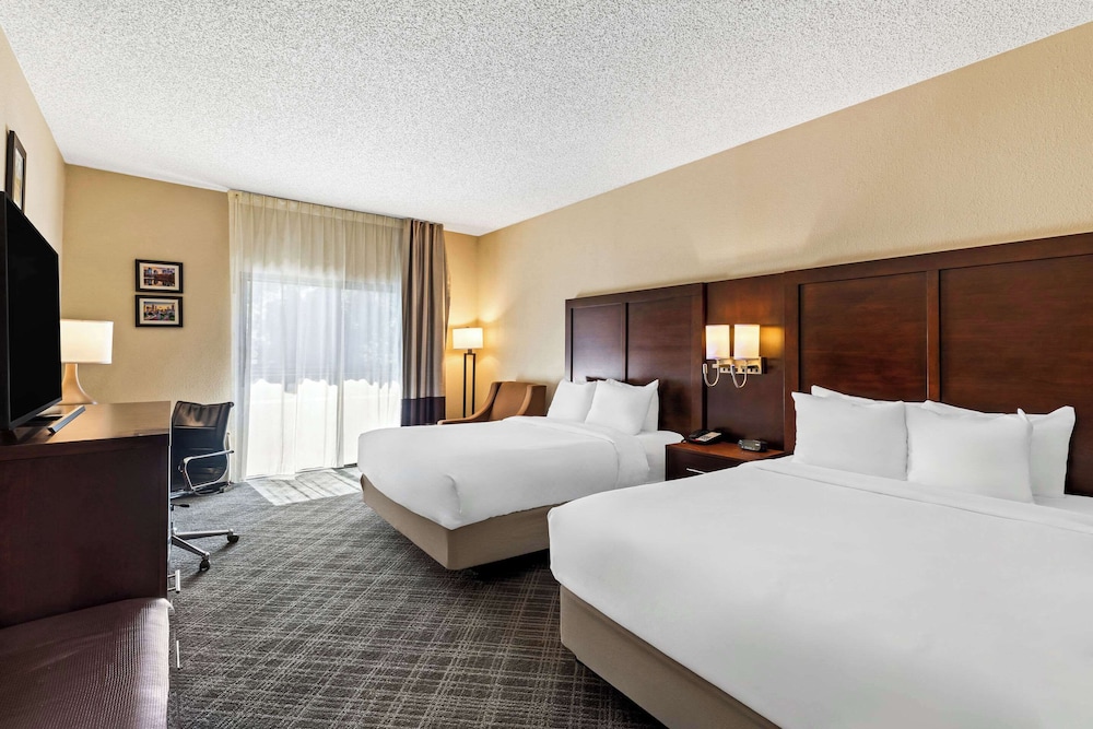 Comfort Inn Roswell Dunwoody - photo 11
