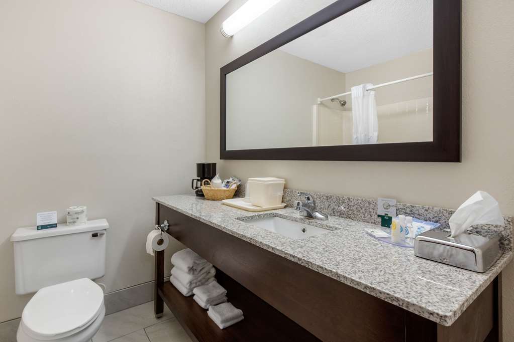 Quality Inn & Suites Mountain Home North - photo 27