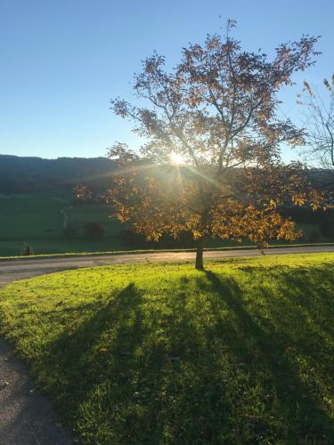 Haunsbergblick - last minute hotel in Unknown City