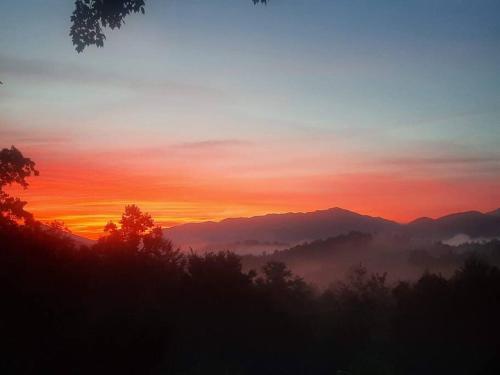 Secluded Sunrise — hotel in Andrews