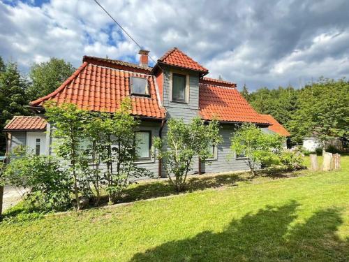 Ferienhaus am Waldschwimmbad — hotel in Altenau