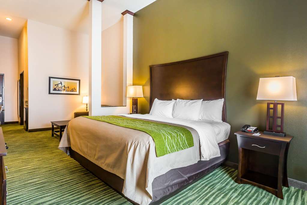 Comfort Inn & Suites Moore Oklahoma City - photo 24