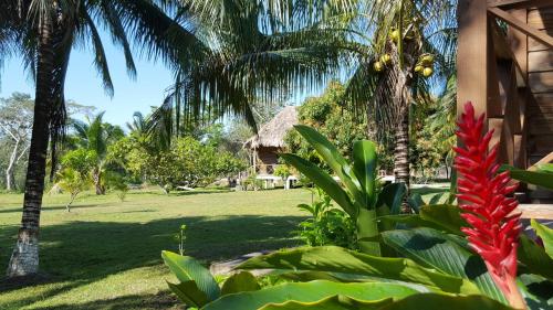 Nature Resort — Belize City
