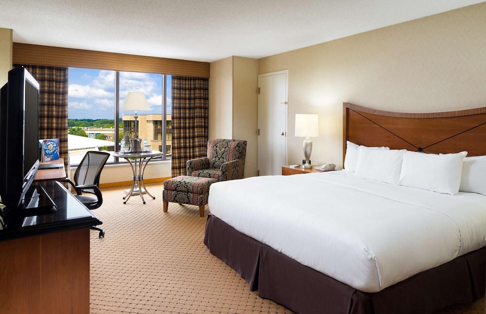 DoubleTree by Hilton Washington Dulles Airport - photo 14