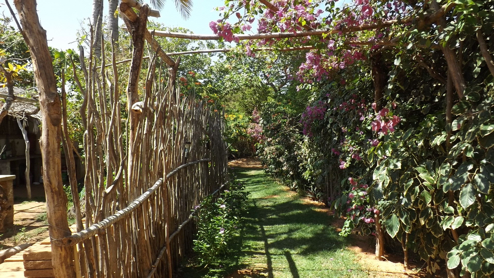 Maloca Hospedagem — Unknown City — photo 4