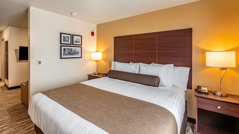 Cobblestone Hotel & Suites Hartford - photo 25