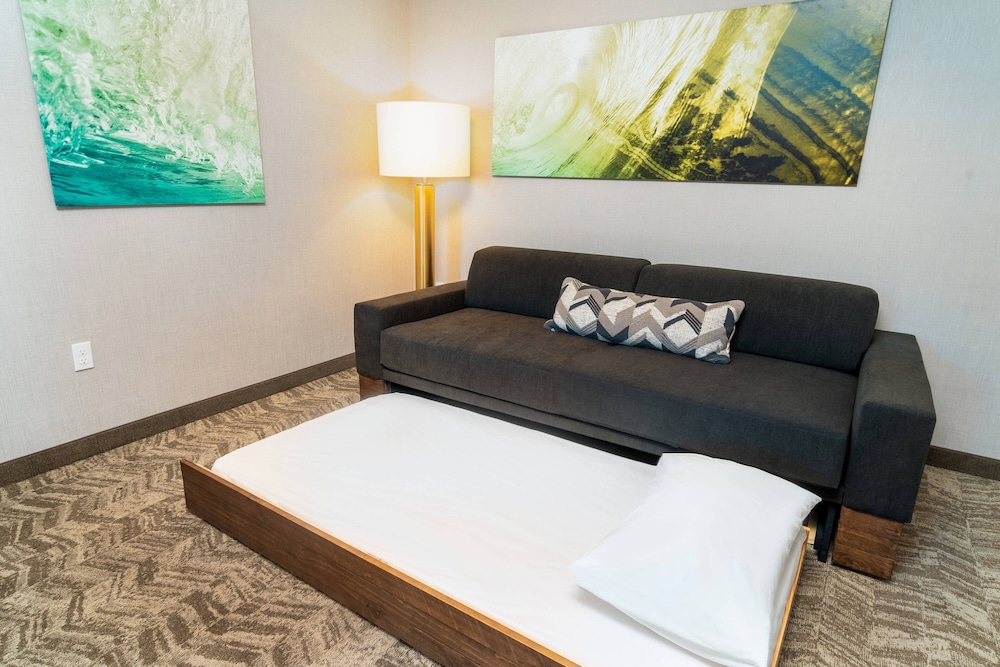 SpringHill Suites by Marriott Newark Fremont - photo 7