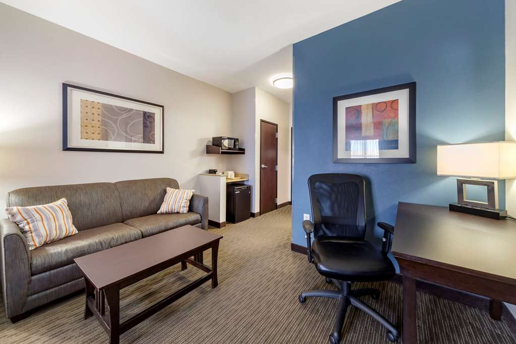Comfort Inn & Suites Oklahoma City West I 40 - photo 14