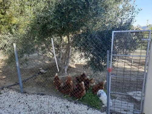 Happy Glamping Cy in Unknown City, Cyprus