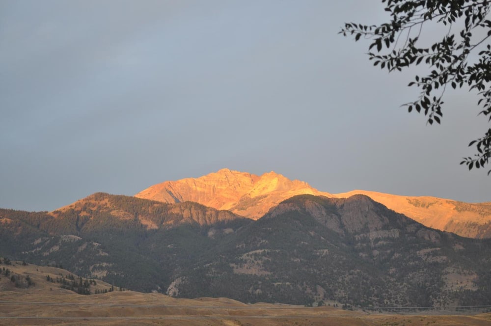 Yellowstone Village Inn and Suites - photo 22