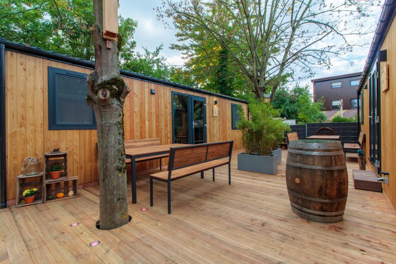 Racoon Außergewöhnliches Tinyhauserlebnis beim Reptilienzoo Reptilium in Landau In Der Pfalz, Germany