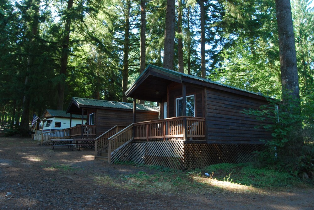 Paradise RV Campground - photo 3