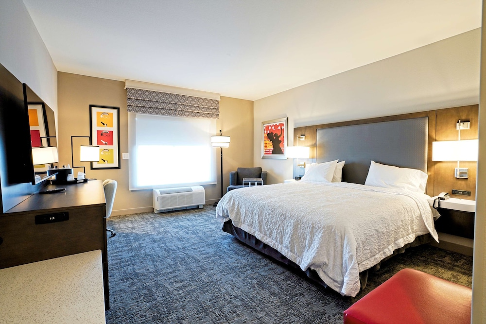 Hampton Inn & Suites Lubbock University - photo 9