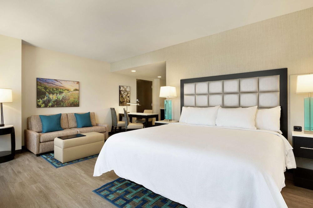 Embassy Suites by Hilton San Antonio Landmark - photo 12