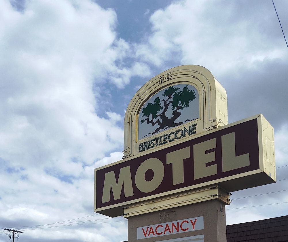 Bristlecone Motel - photo 52