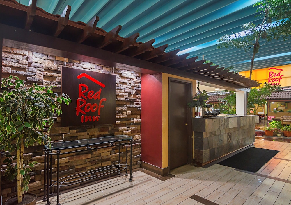 Red Roof Inn Lubbock - photo 2