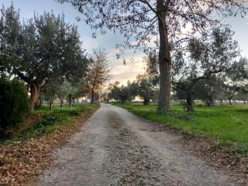 Casale Re Di Coppe — Lanciano