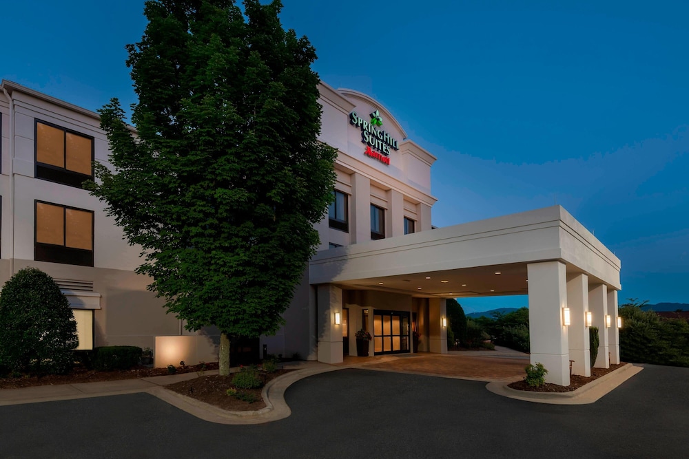 SpringHill Suites by Marriott Asheville - photo 24