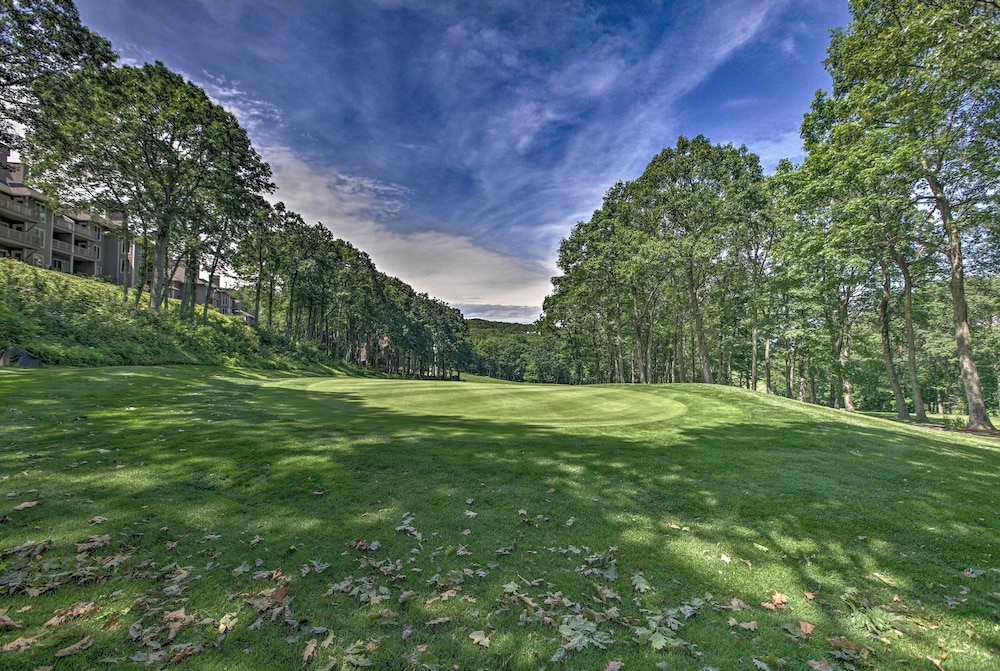 Idyllic Wintergreen Condo with Resort Amenities — hotel in Nellysford
