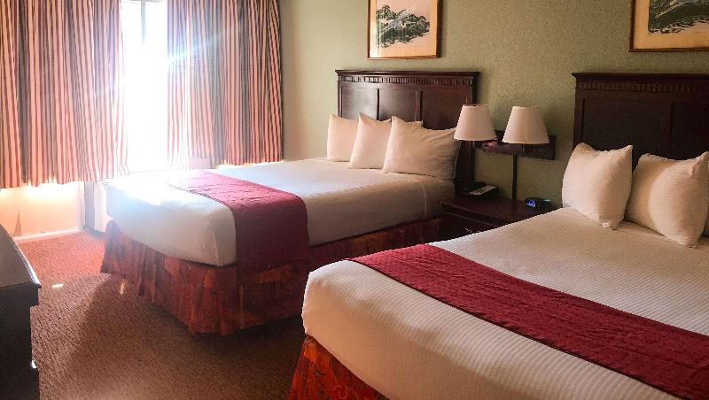 Magnuson Hotel Waterfront Marina New Port Richey - photo 38