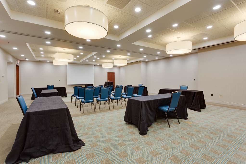 Drury Plaza Hotel St. Louis Brentwood - photo 24