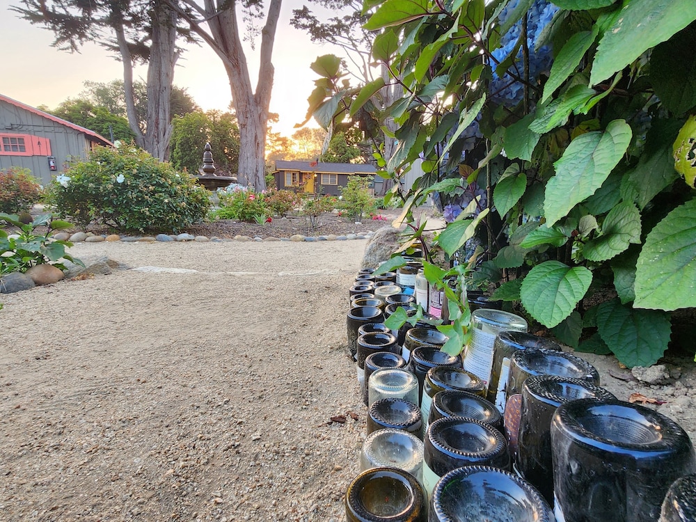 Carmel River Inn & Cottages - photo 69