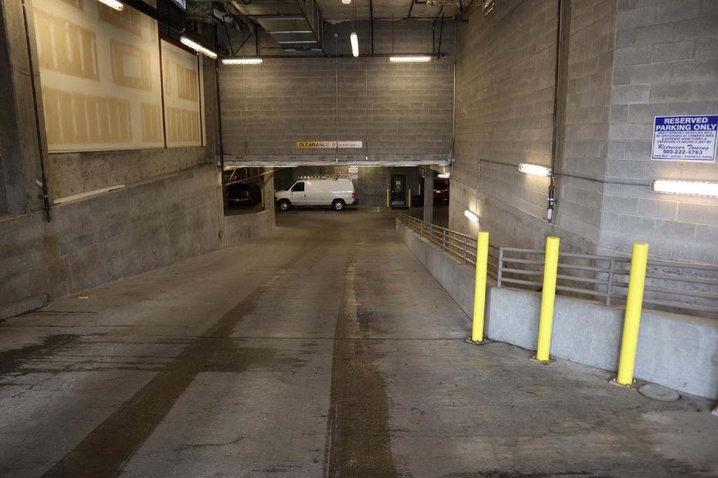 Spacious Downtown Location great for work and relaxing - photo 20