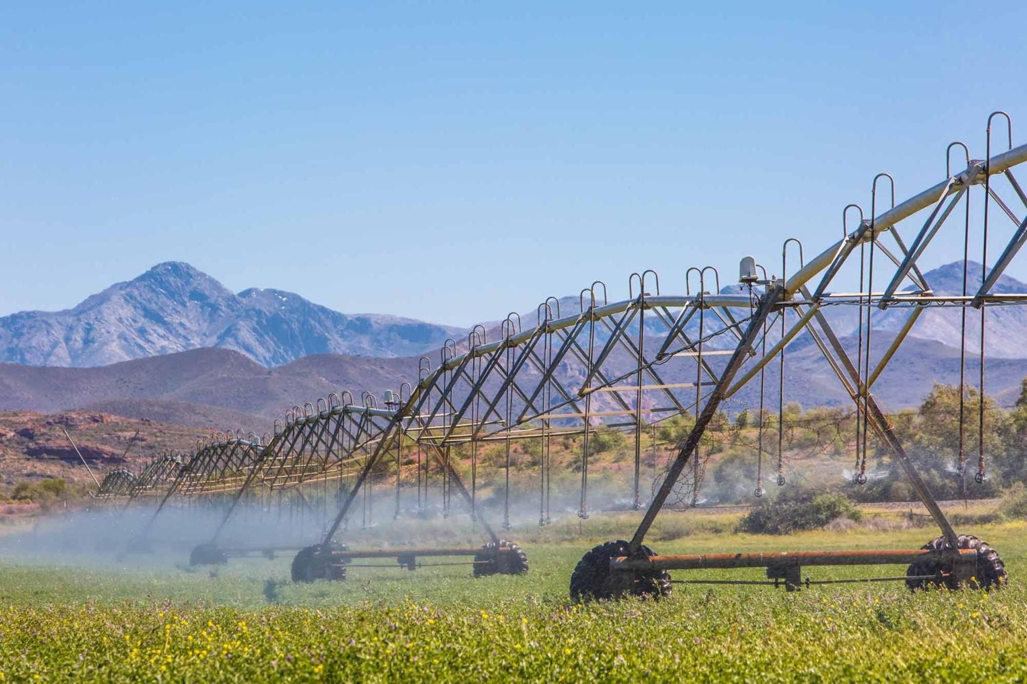 Hazenjacht Karoo Lifestyle in Oudtshoorn, South Africa