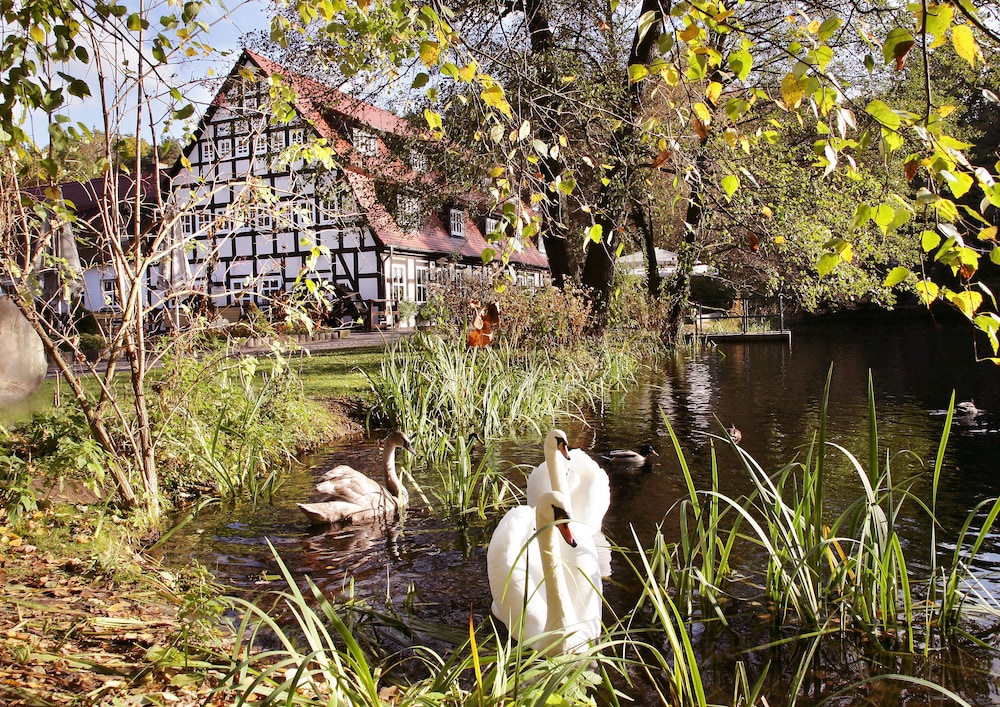 Springbach Mühle Belzig - carbon neutral hotel in Bad Belzig