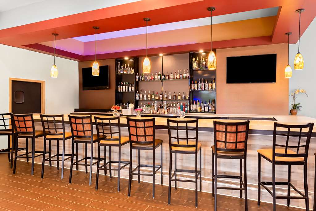 Best Western Saluki Inn - photo 38