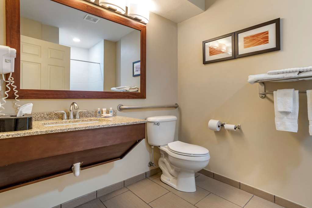 Comfort Inn Amite City - photo 15