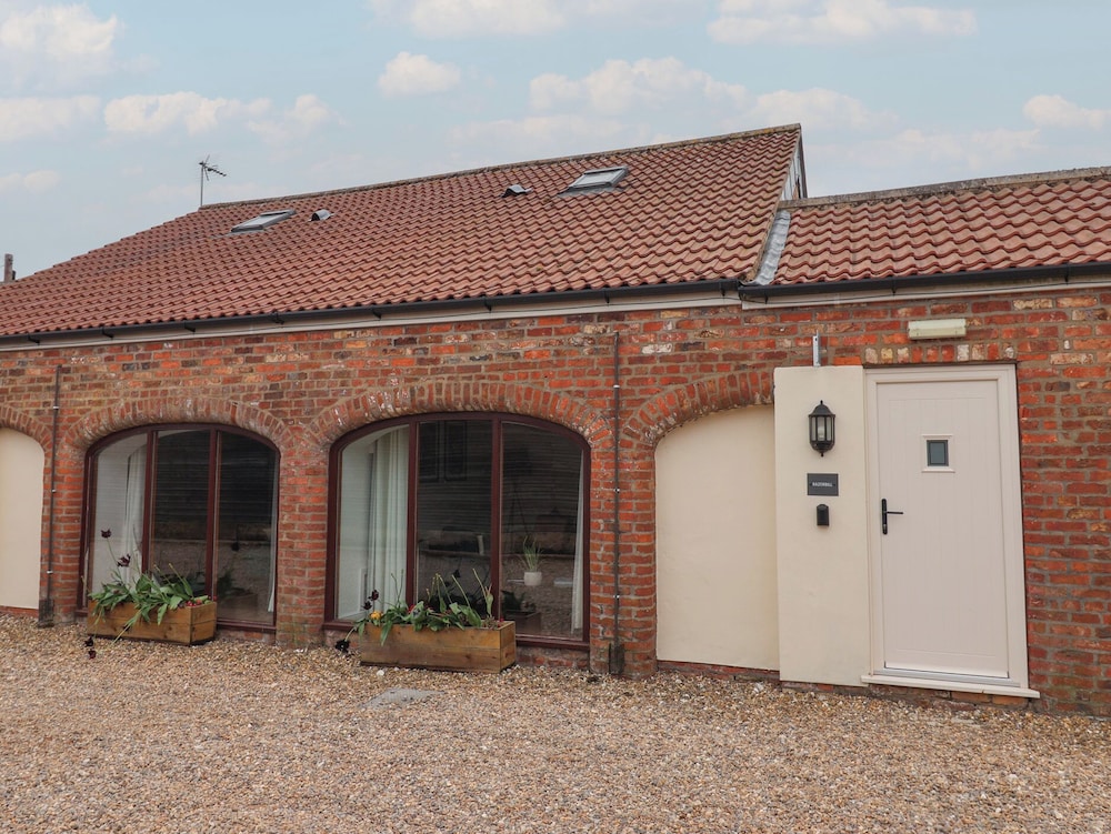 Razorbill in Bridlington, United Kingdom