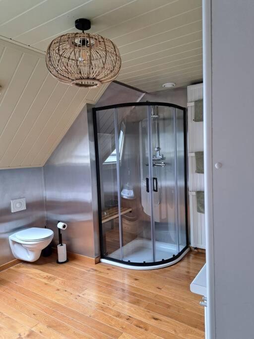 Maison Patisson — Kasterlee — photo 5