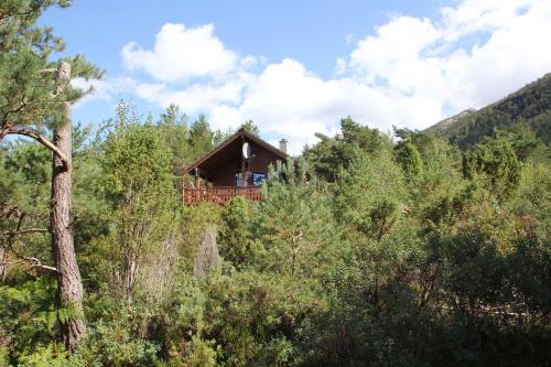Fjordhytte 38 bei Rosendal am Hardangerfjord in Rosendal, Norway