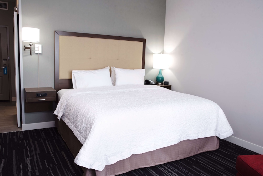 Hampton Inn & Suites Des Moines Urbandale - photo 11