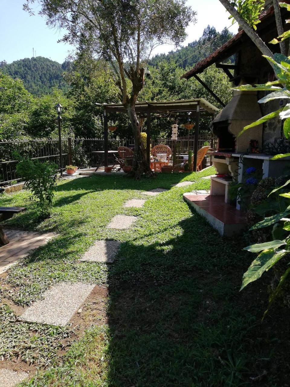 Cedrim Hillside — Sever Do Vouga — photo 3