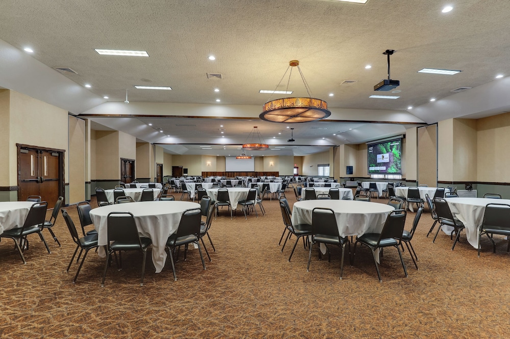 Stoney Creek Hotel Columbia - photo 47
