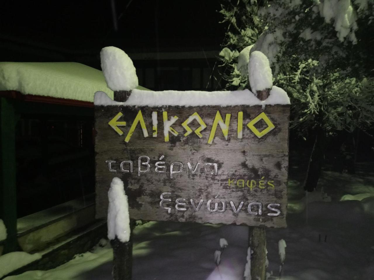 Elikonio — Livadeia — photo 2