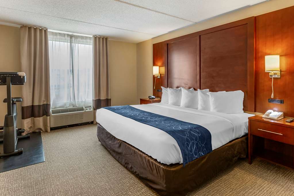 Comfort Suites Manassas Battlefield Park - photo 25