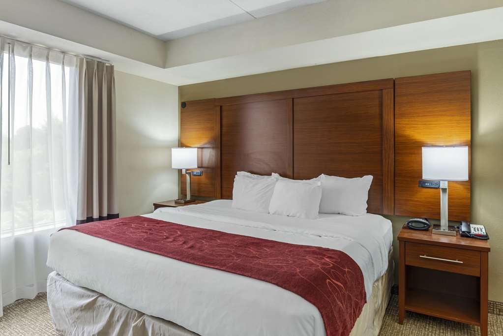 Comfort Suites At Virginia Center Commons - photo 24