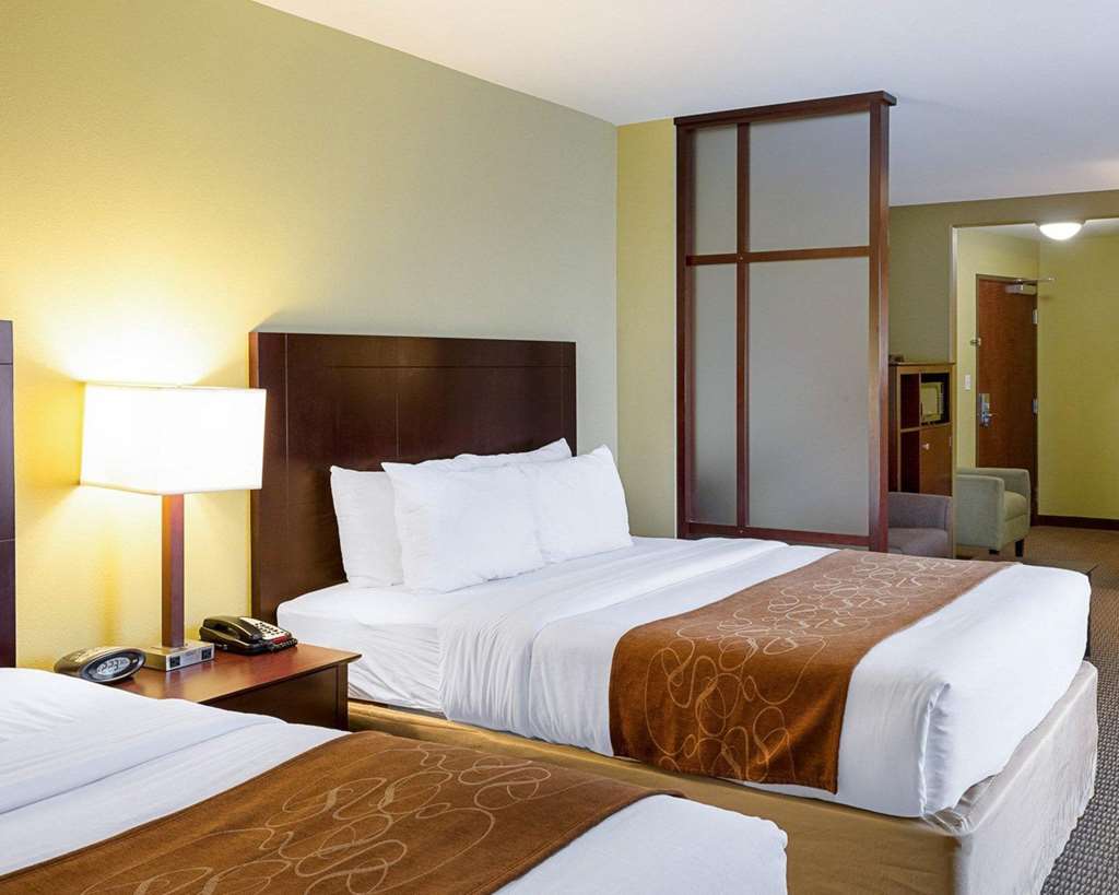 Comfort Suites Harvey New Orleans West - photo 10