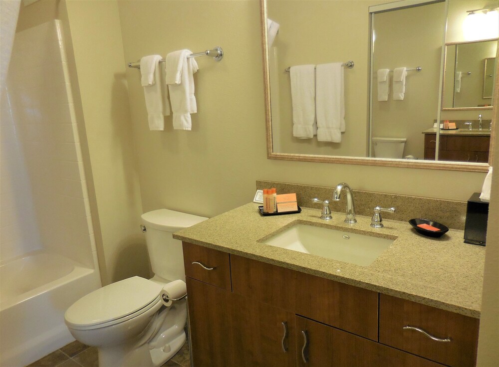 Ledgestone Suites Hotel Billings - photo 11