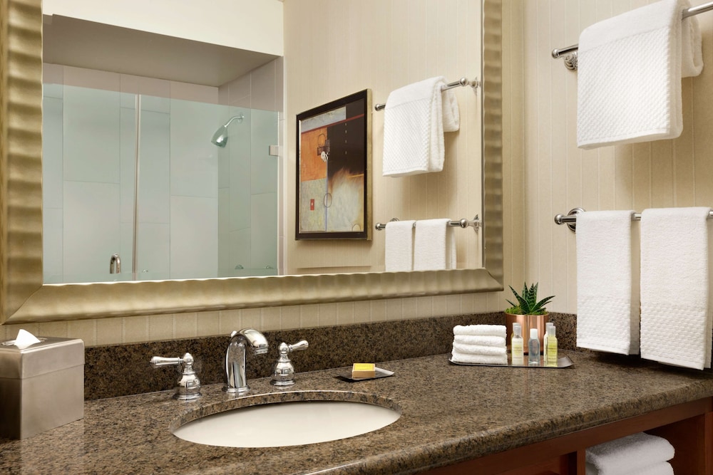 DoubleTree by Hilton Minneapolis Park Place - photo 34